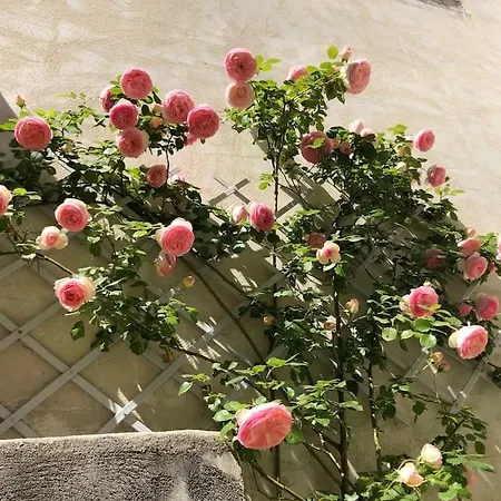 Villa La Demeure Provencale Au Charme Suranne