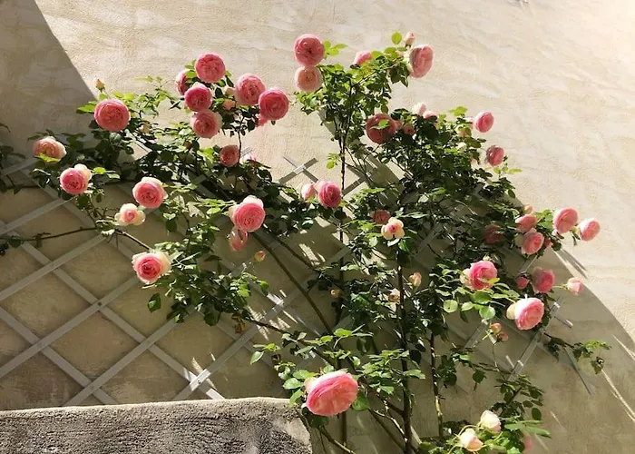 Villa La Demeure Provencale Au Charme Suranne