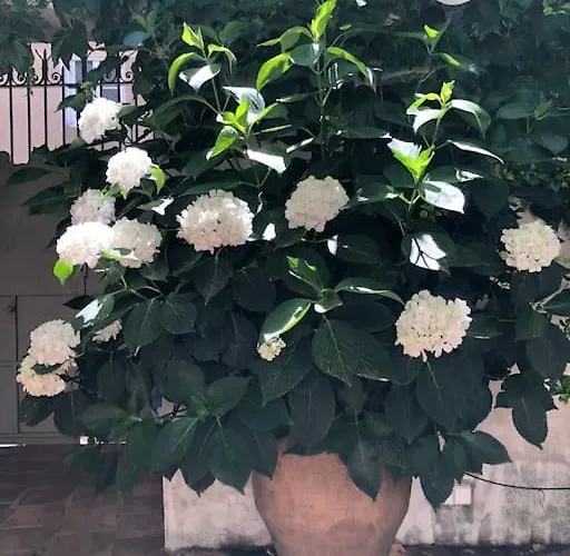 Villa La Demeure Provencale Au Charme Suranne *